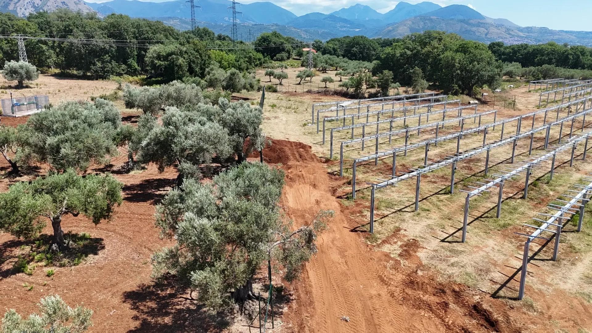 Filari di sostegni installati nel cantiere S. Barbara 2