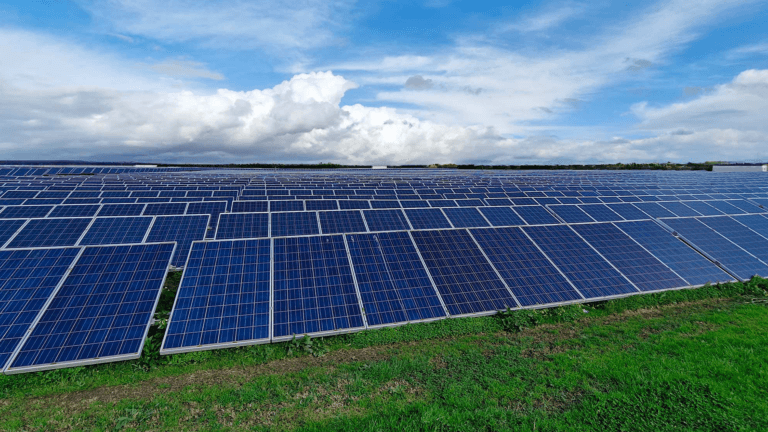 Immagine del progetto Revamping di un impianto fotovoltaico da 8 MW